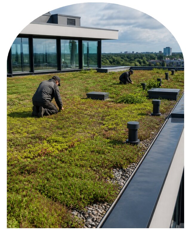 Зеленая крыша под ключ в Домодедове от 6842 р. | Метпроект-Дмд